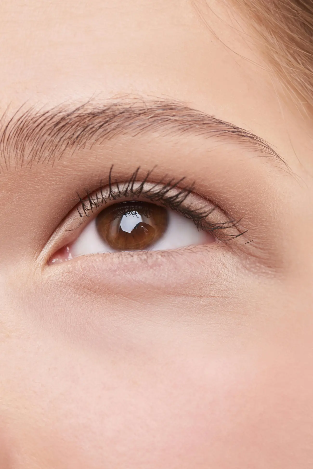 Blepharoplasty — procedure